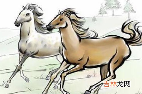 ?90马和93鸡的婚姻如何