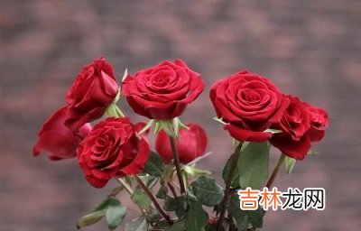 肖龙的人2月14日情人节命运是什么样的?