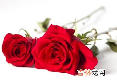 出生在2月14日情人节的属蛇人是什么样的命运?