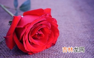 属牛的人出生在2月14日情人节命运顺不顺?