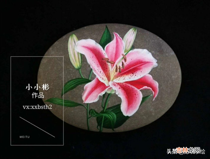 小小彬个人资料 小小彬石头画