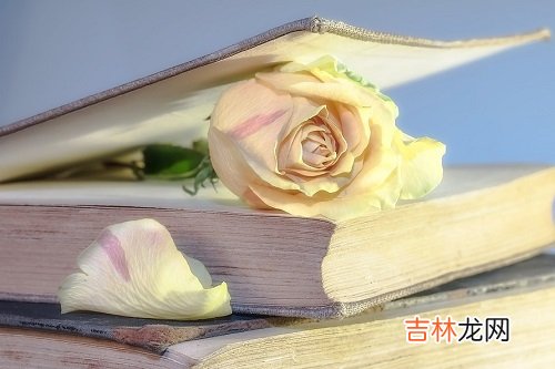 狮子座2020年几月桃花最旺，六月桃花朵朵开