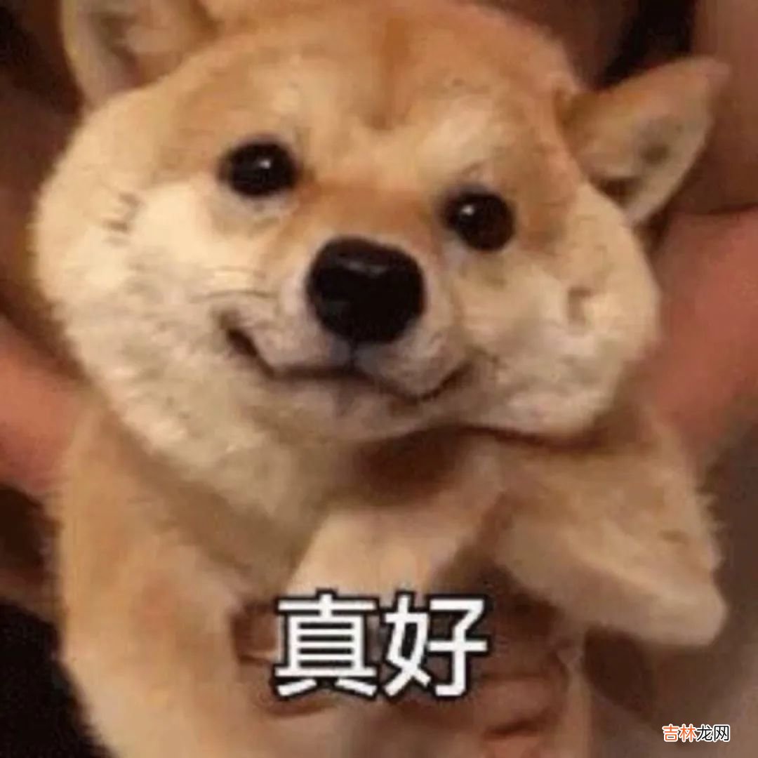 舔狗星座的一生,何其壮哉