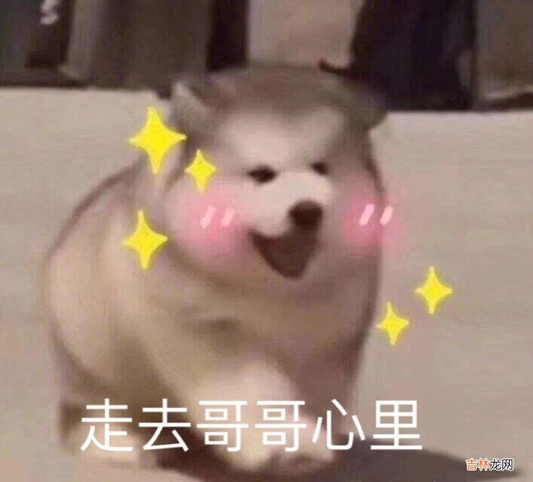 舔狗星座的一生,何其壮哉