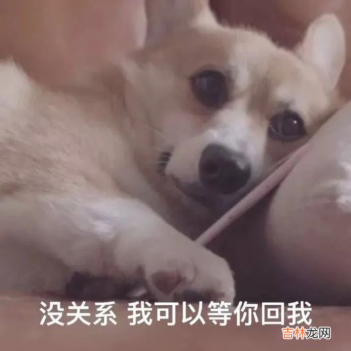 舔狗星座的一生,何其壮哉