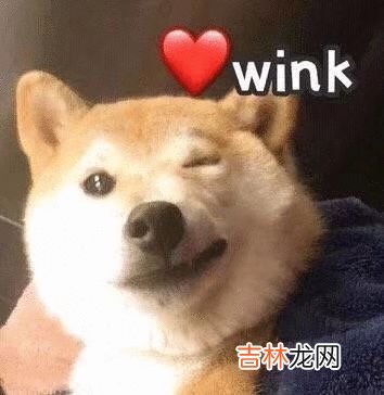 舔狗星座的一生,何其壮哉