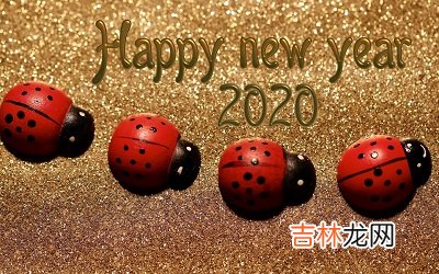 2020鼠年农历闰四月初二日出生的宝宝命运如何？