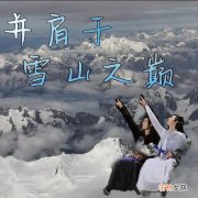 并肩于雪山之巅是什么梗