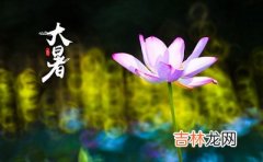 2020鼠年六月初二日大暑节气出生的孩子命运如何？