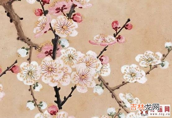 2020年4月18日三月二十六生的男孩命运好吗，起什么名字佳