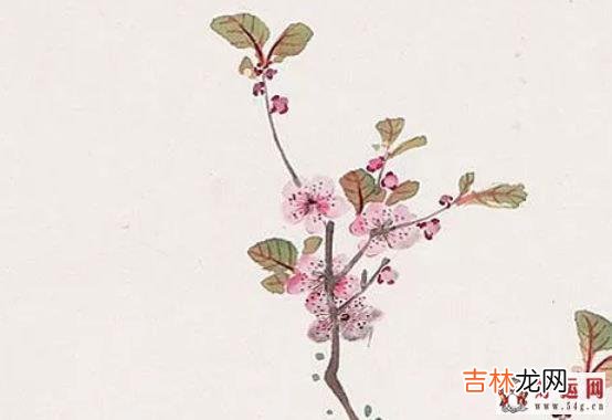 2020年4月17日三月二十五生的女孩是什么命,取什么名字有福气