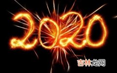 2020庚子年农历六月初九日出生的孩子命理解析！