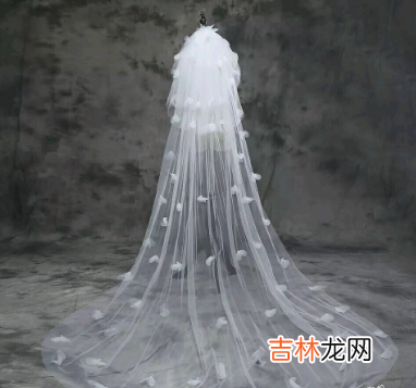 测试婚姻能否白头到老