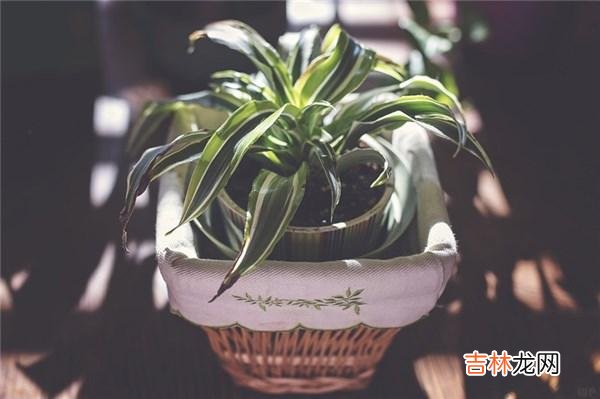 激励上进正能量句子简短 激励上进正能量句子八个字