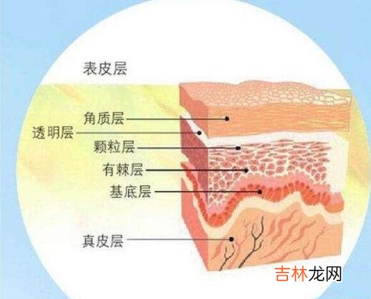 脸上干燥起皮怎么办？