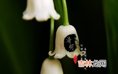 属牛的清明节出生好不好？清明节有什么忌讳？