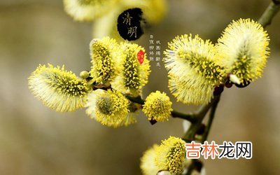 2020属鼠的清明节出生好不好？一定要清明节烧纸祭祖吗？