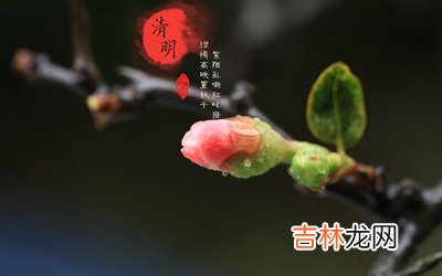 属兔的清明节出生命运如何？2020清明节喜神方位解析