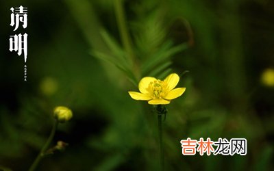 生肖属鸡的人清明出生命运怎么样？2020年清明节财神方位