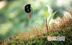 属羊的清明节出生好不好？2020年清明节可以搬家吗？