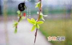 2020年清明节时辰吉凶，属狗的清明节出生好不好？