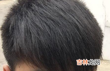 男生发质硬适合什么发型？