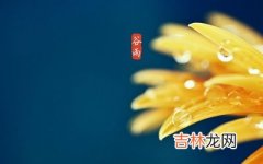 生肖牛的人出生在谷雨节气命运如何呢？2020年谷雨财神方位