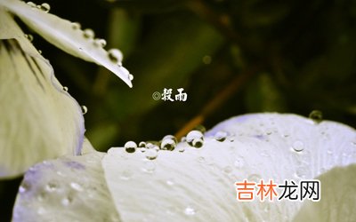 谷雨节气有什么禁忌？属羊的人谷雨节气出生命运怎么样？