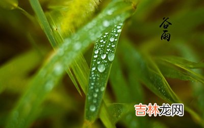 2020年谷雨可以理发吗？属鸡的人谷雨节气出生命运好吗？