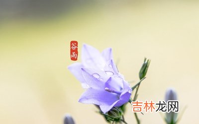 2020谷雨出生的人好吗？谷雨以后还会冷吗天气转暖了吗？