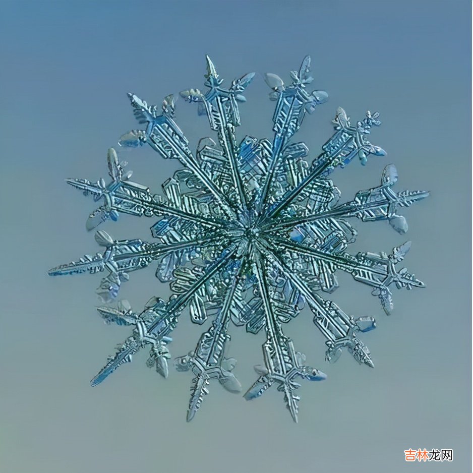 雪花的形状图片 雪花的形状设计