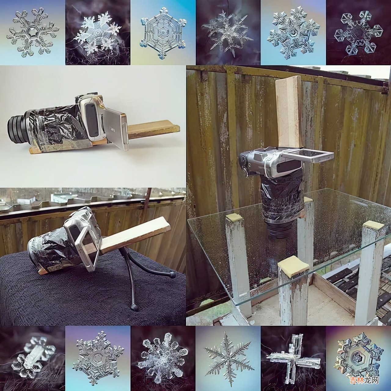 雪花的形状图片 雪花的形状设计