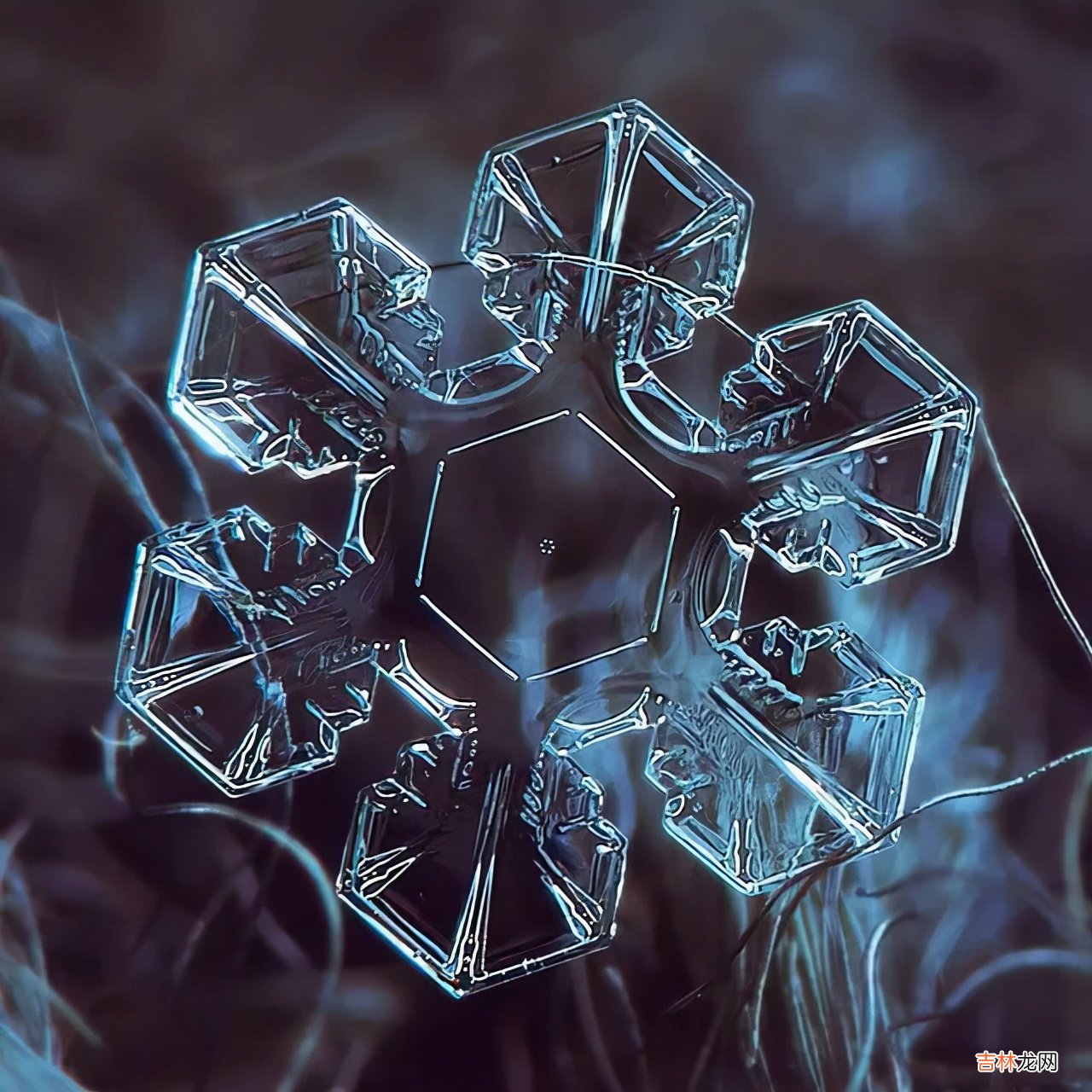 雪花的形状图片 雪花的形状设计
