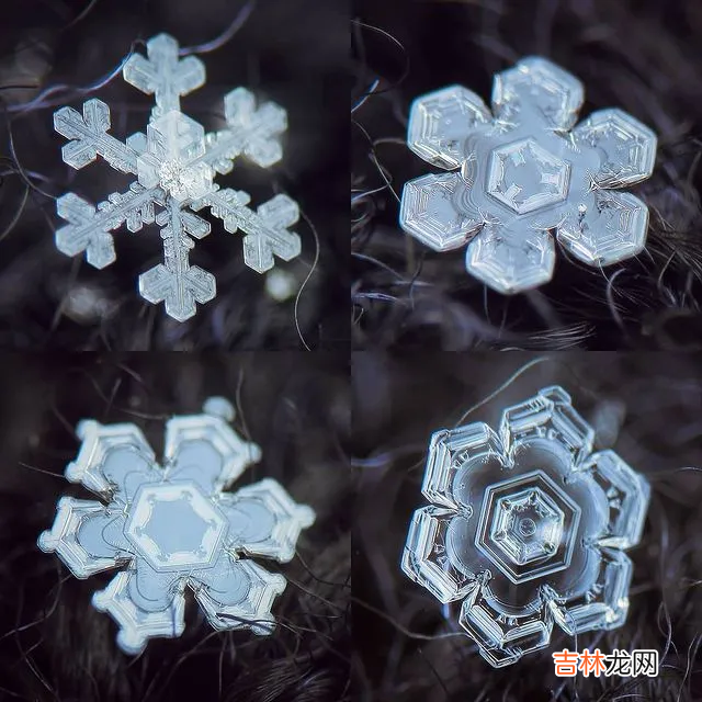 雪花的形状图片 雪花的形状设计