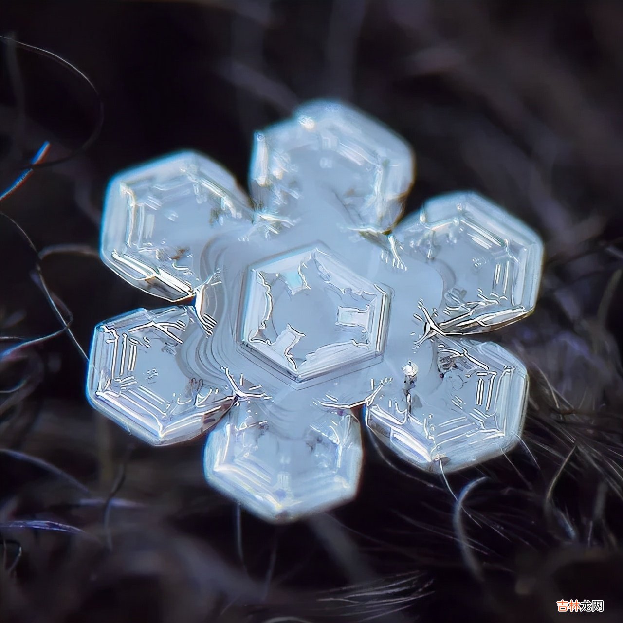 雪花的形状图片 雪花的形状设计