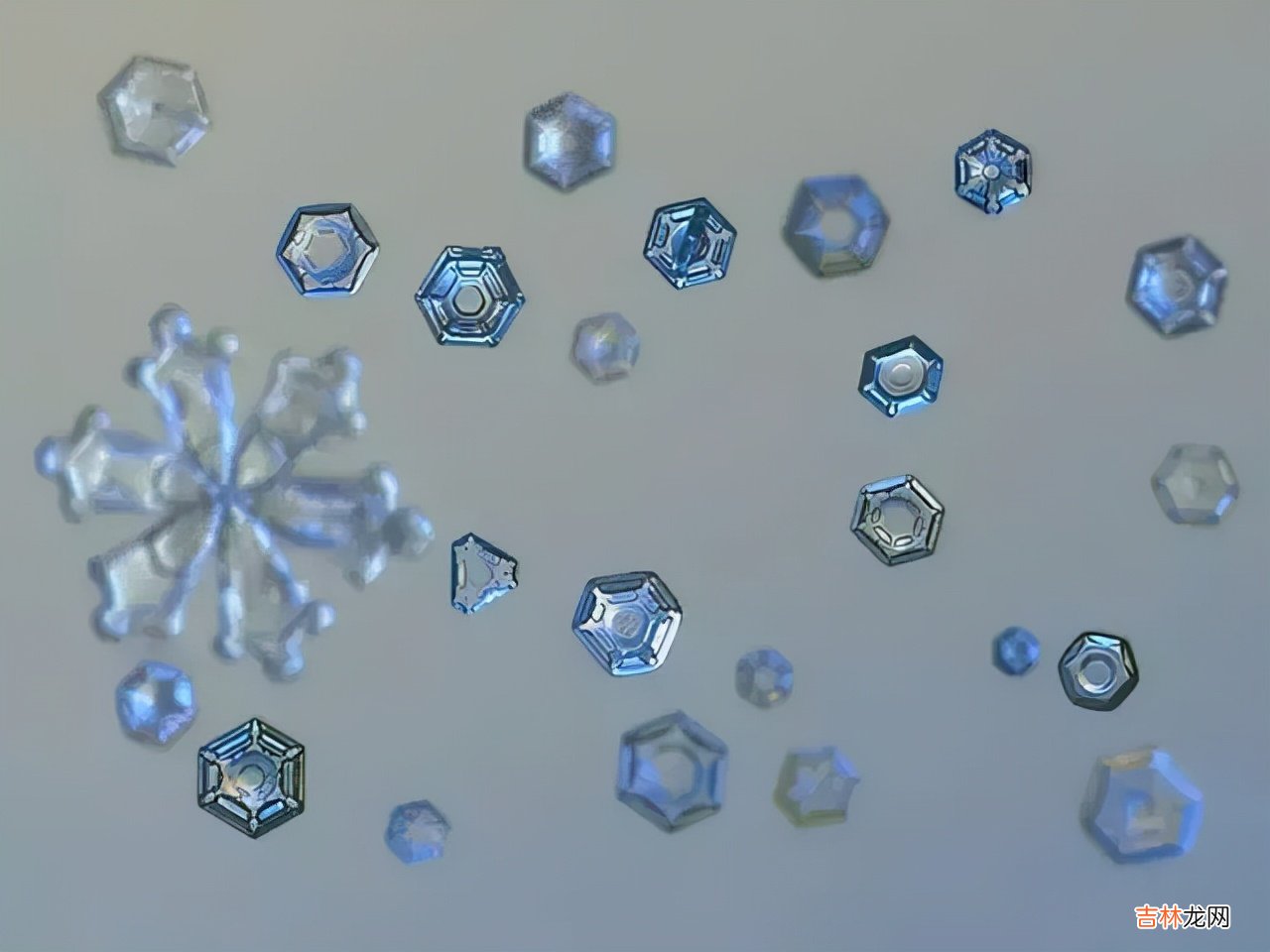 雪花的形状图片 雪花的形状设计