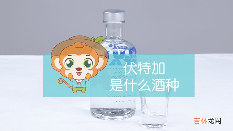 伏特加是什么酒种？