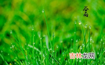 2020年谷雨时辰吉凶，属蛇的人谷雨节气出生命运如何？