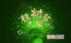 2020鼠年植树节出生的人命运怎么样？植树节是3月12日吗？