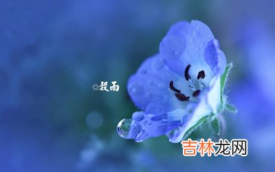 2020年谷雨出生的人命数和运势，2020谷雨是黄道吉日吗？