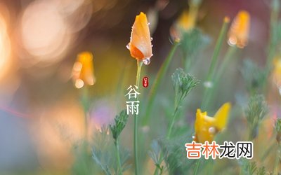 2020年谷雨出生的人命数和运势，2020谷雨是黄道吉日吗？