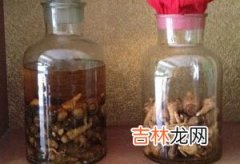 锁阳酒功效与作用 锁阳酒怎么泡