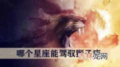 十二星座中哪个星座能驾驭狮子座