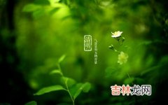 2020庚子年清明节气申时出生命理解析