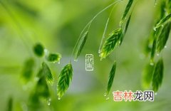 2020年4月19日谷雨戌时生人五行缺什么，是什么命？