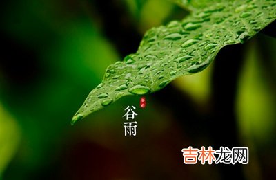 2020鼠年三月廿七谷雨节气未时出生属鼠宝宝命好吗？