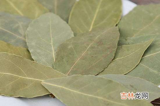 香叶可以油炸吗