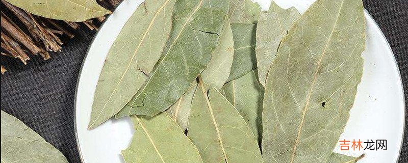 香叶可以油炸吗