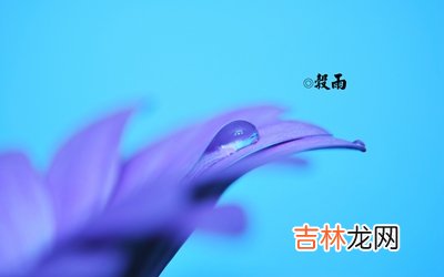 2020年三月廿七谷雨辰时出生的宝宝命运怎么样？