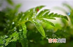 00时-01时 2020鼠年谷雨子时出生宝宝命理解析